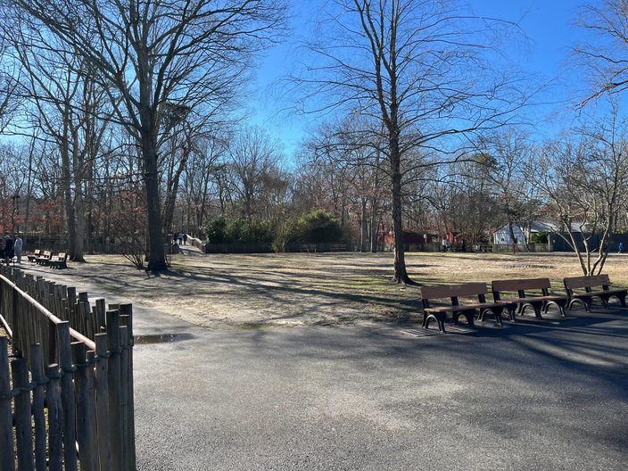 cape may county zoo aviary