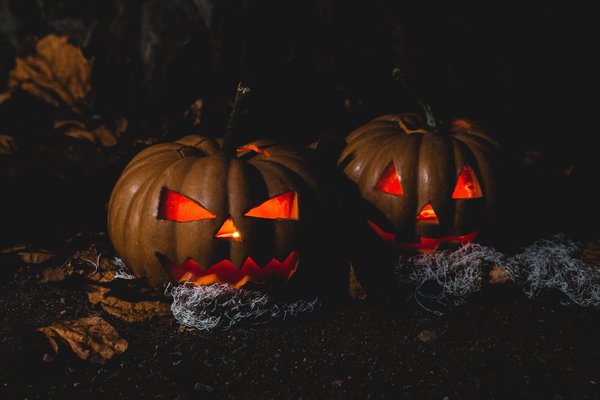 Halloween at Morris Arboretum