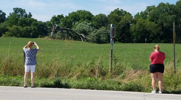 13700203_10155086440728206_7226550506597984669_n