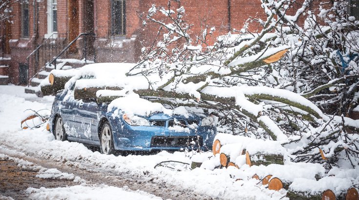 Carroll - March nor'easter snow