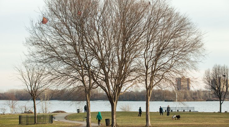Stock_Carroll - Penn Treaty Park