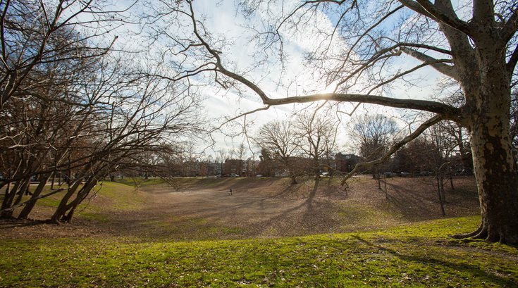 Clark Park