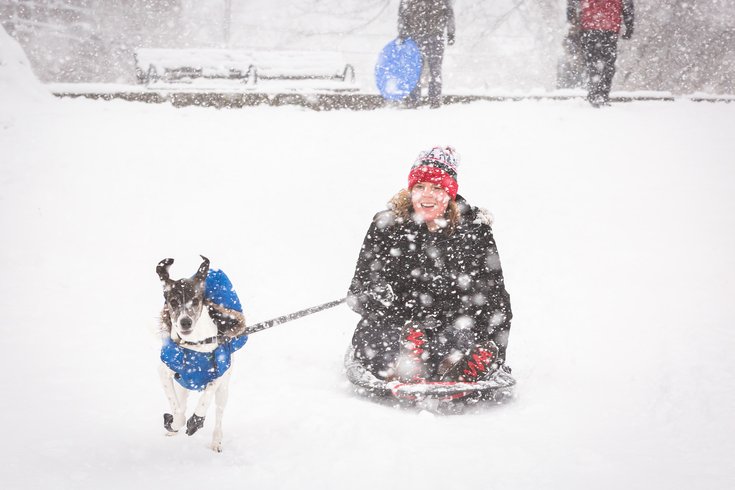 Carroll - Sledding with a dog at Clark Park in West Philadelphia