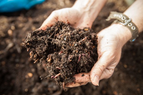 Composting1