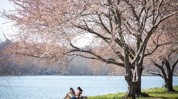 Stock_Carroll - The Schuylkill River on a spring afternoon