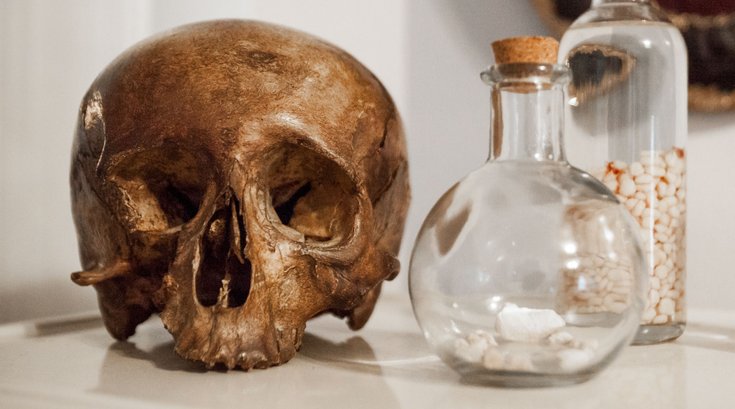 Skull