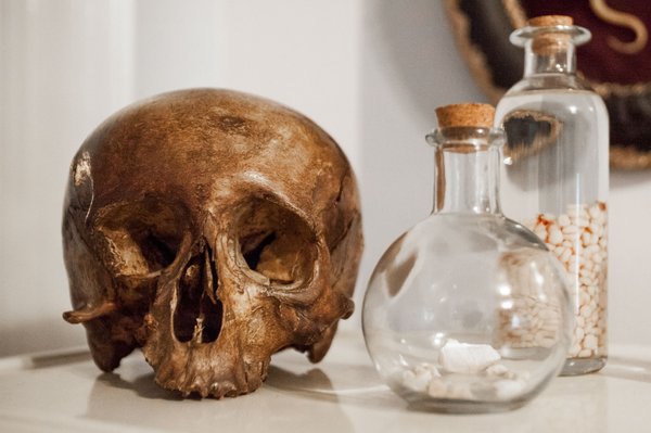 Skull