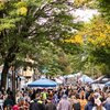 Roxborough Spring Fest