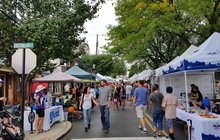 Limited - Jenkintown Fest