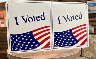 Voting 2026 midterms