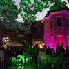 Chestnut Hill Night of Lights
