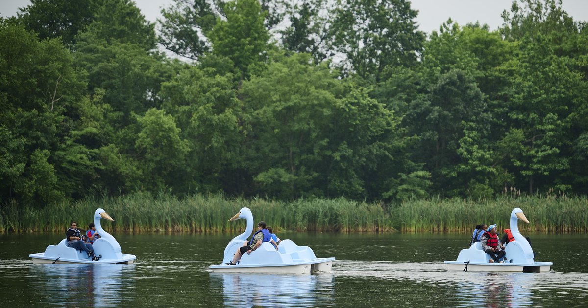 Free paddle boating returns to FDR Park for a day on the water