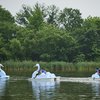 2025 Blue Heron Paddle Boats_AlbertYee.jpg