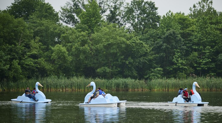 2025 Blue Heron Paddle Boats_AlbertYee.jpg