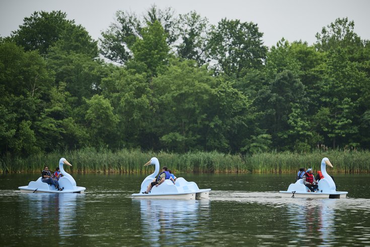 2025 Blue Heron Paddle Boats_AlbertYee.jpg