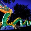 2026 Rendering Green Dragon
