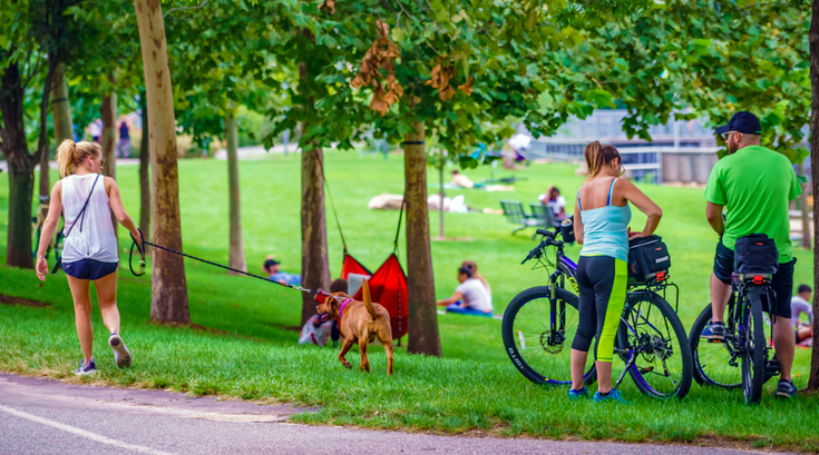 Schuylkill Banks movies