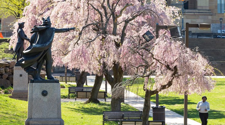 Cherry Blossom 10K/5K