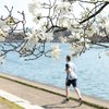 Stock_Carroll - Running along the Schuylkill River Trail on a spring a day blossoms