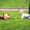 Carroll - Dog and Toddler in Rittenhouse Square