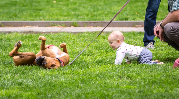 Carroll - Dog and Toddler in Rittenhouse Square