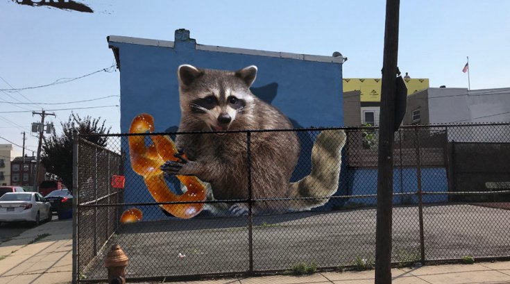Raccoon mural