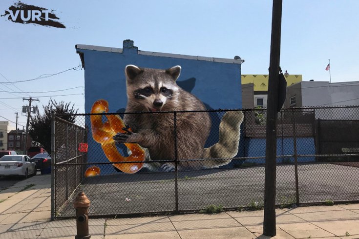 Raccoon mural