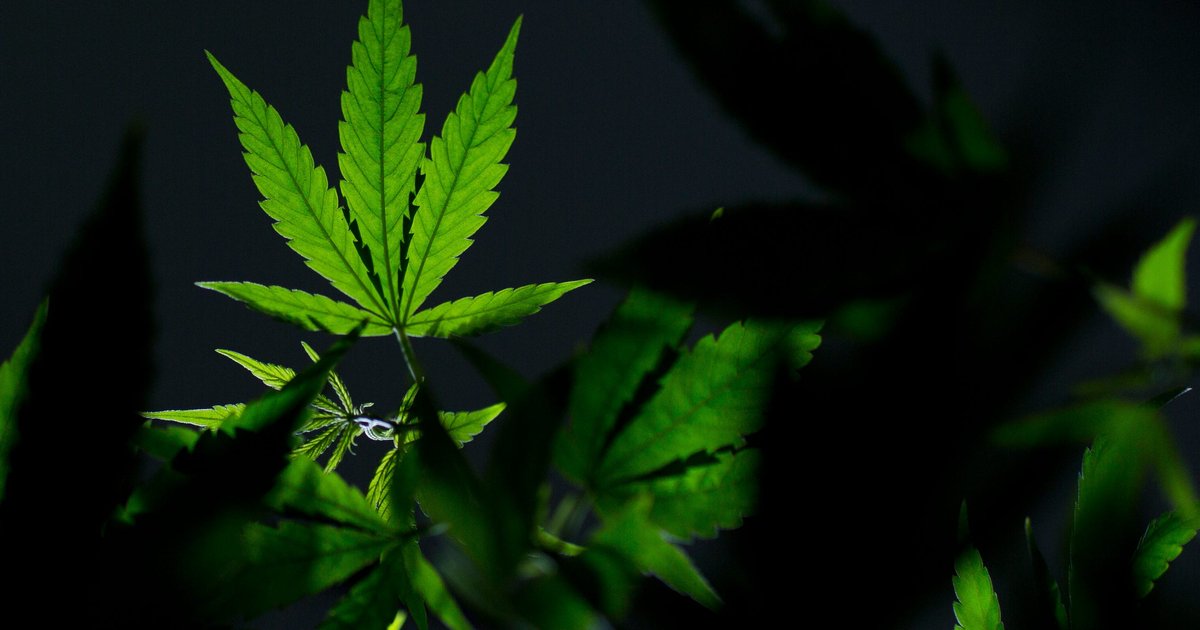 Gov. Josh Shapiro is again pushing for Pa. to legalize marijuana, but advocates say it's a long shot in 2026