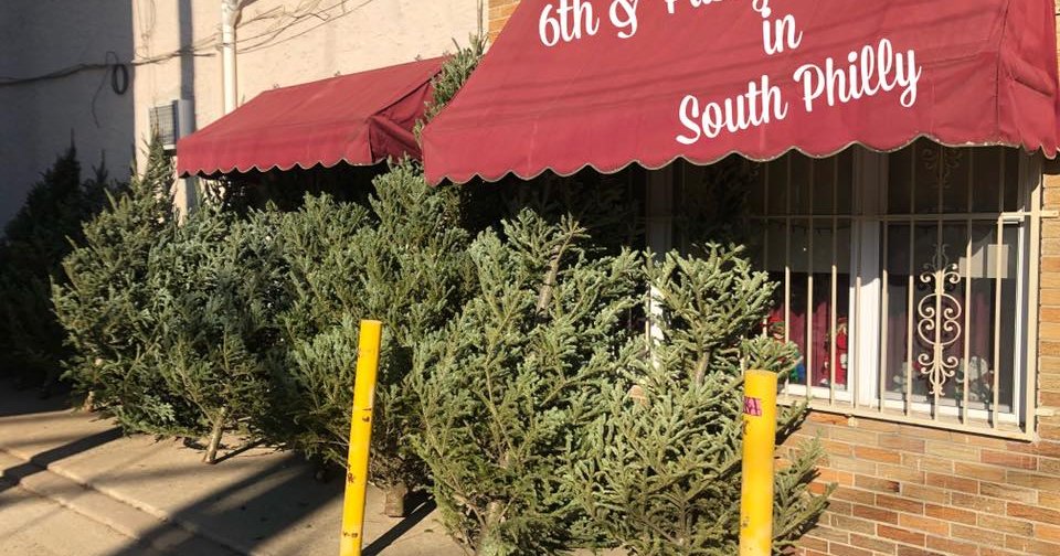 South Philly Christmas tree business offers free trees to struggling