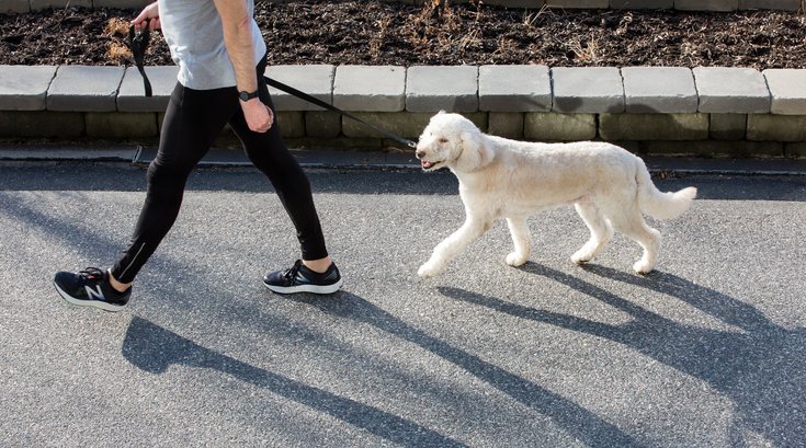 Man walking a dog