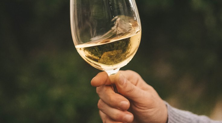 Virtual wine tasting with Tria