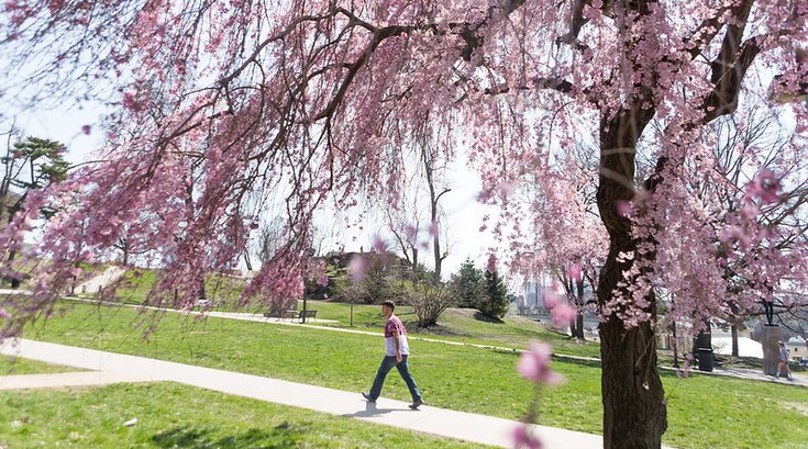 A person walks through Fairmount Park