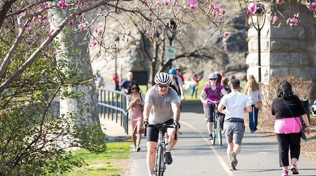 People exercising in a park