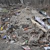 Illegal Dumping Pennypack