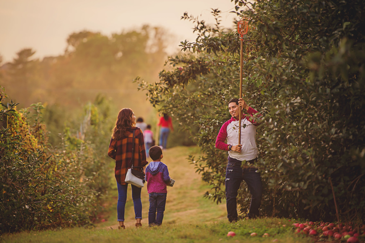 Linvilla ORchards Apple Festival