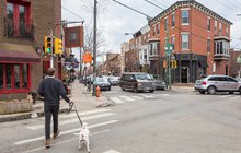 Man walking a dog in South Philly - Passyunk