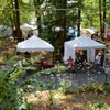 Mt Gretna Outdoor Art Show