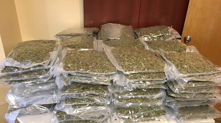 Marijuana Upper Merion Montgomery County