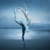 Swan Lake Creative for PA Ballet