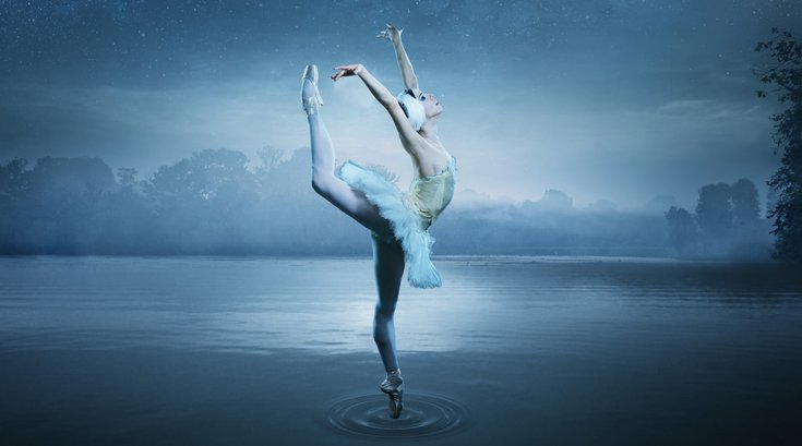 Swan Lake Creative for PA Ballet