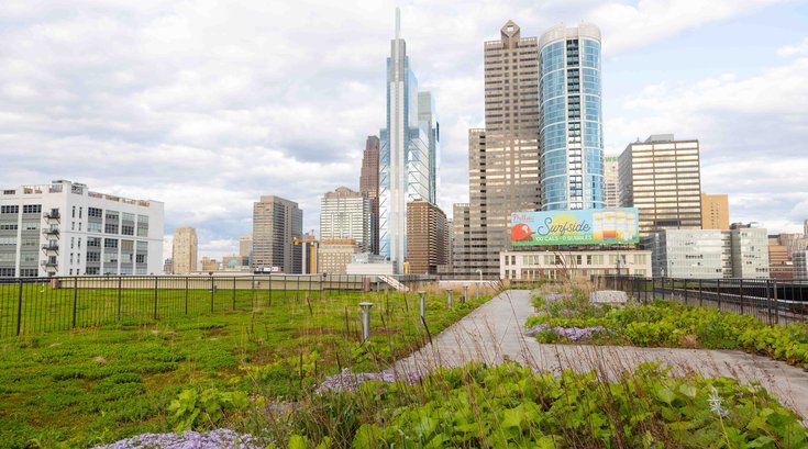 4.24.2024 - PECO Green Roof Tour - Credit Morgan Horell-56.jpg