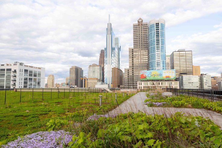 4.24.2024 - PECO Green Roof Tour - Credit Morgan Horell-56.jpg