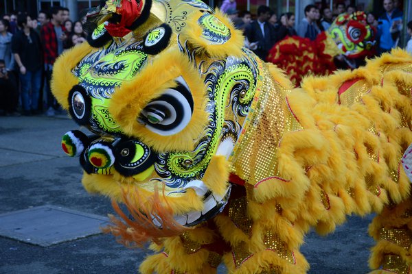 Celebrate Lunar New Year in Philly: Lion dances, dumpling making