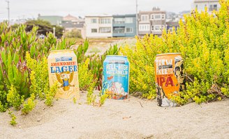 Evil Genius 21st Amendment