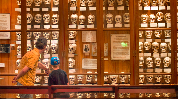 'Unseen' Mutter Museum exhibit