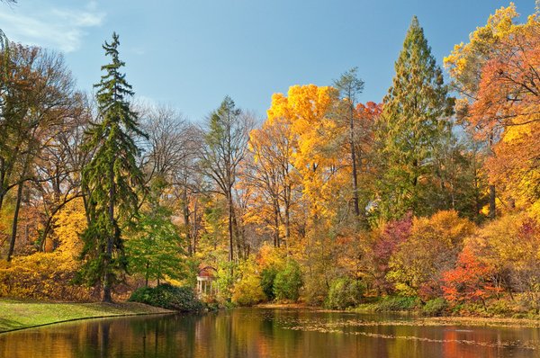 Autumns Colors