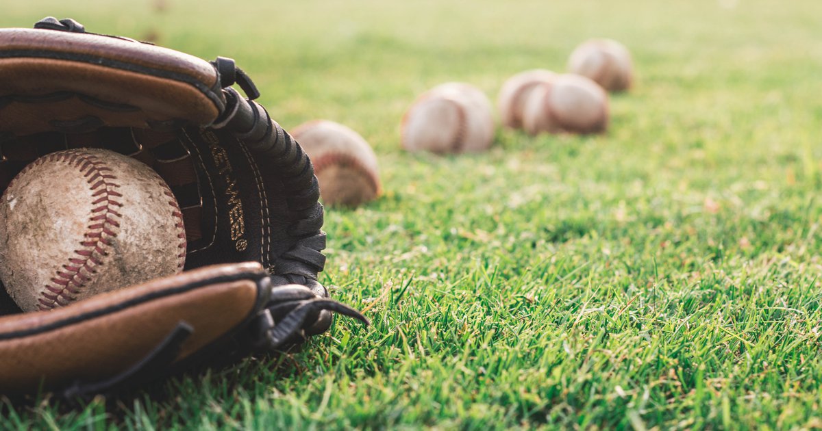 Basic, Green Valley baseball teams punished after brawl, Baseball