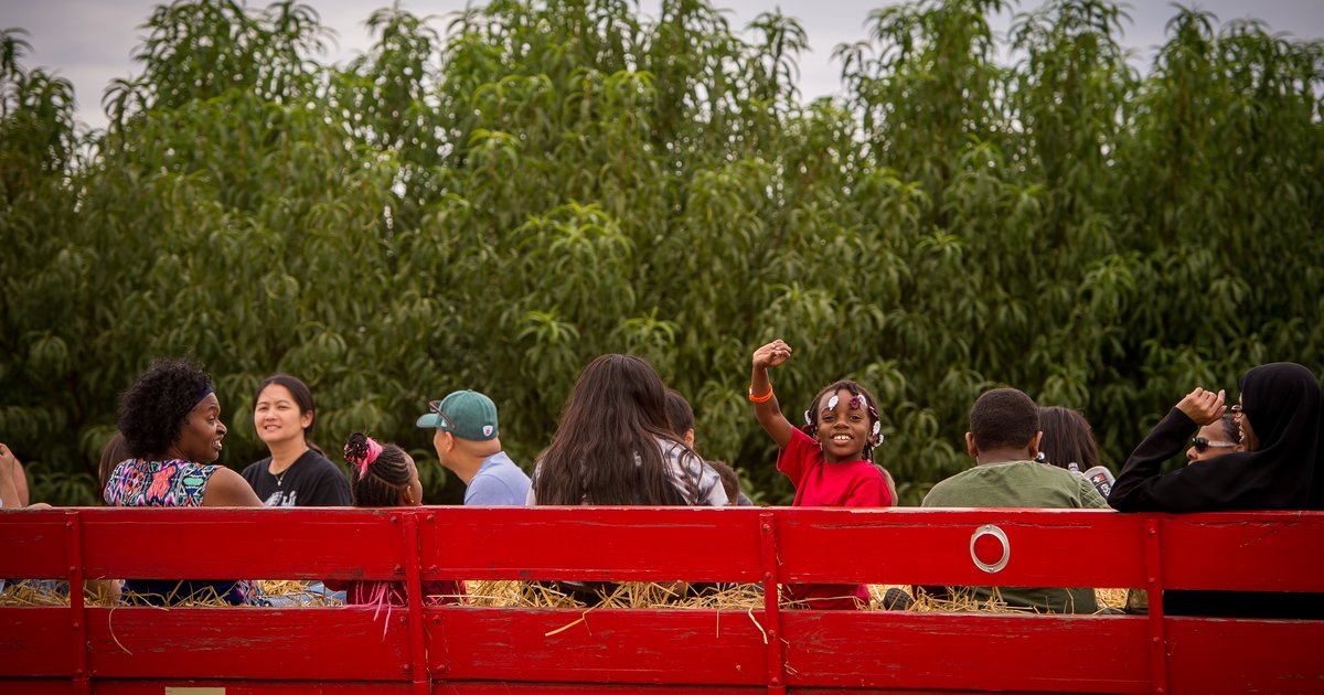 Linvilla Apple Festival returns Sept. 26 after April freeze Linvilla Apple Festival returns Sept. 26 after April freeze