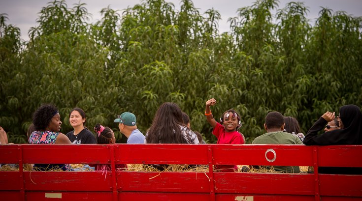 Linvilla Orchards Apple Fest