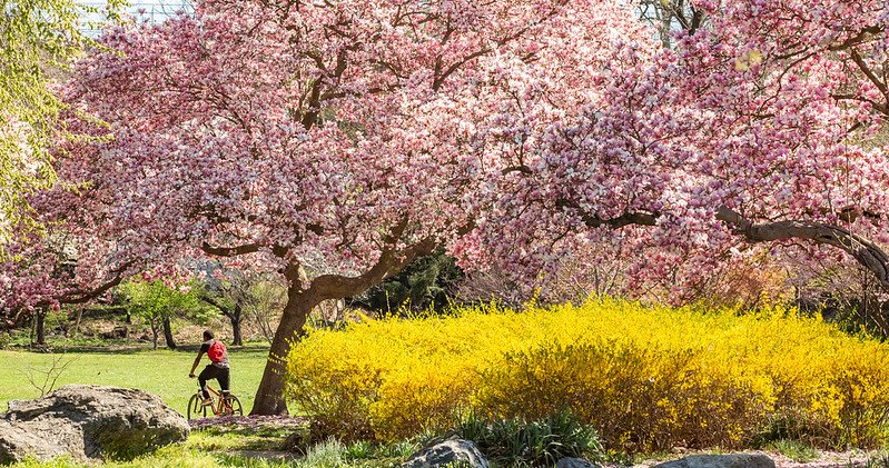 Thousands of volunteers will clean up Philly neighborhoods this morning